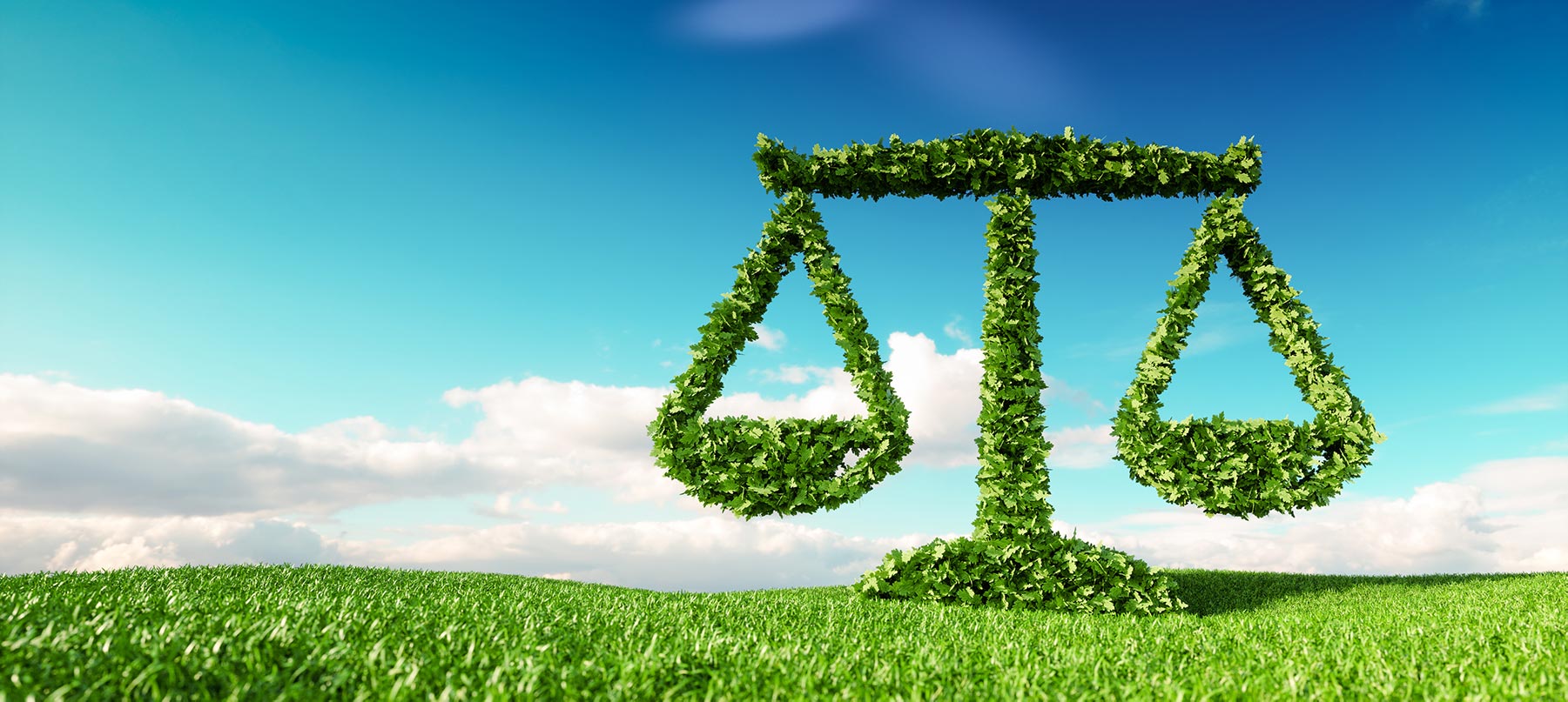 VPP Policy Principles