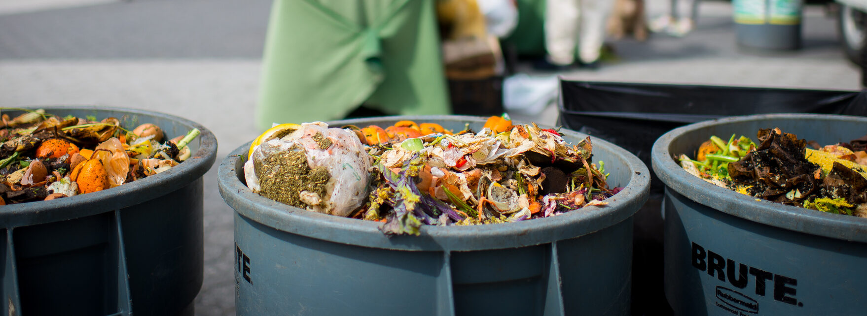COP29 Brings Historic Commitments to Reduce Methane from Organic Waste