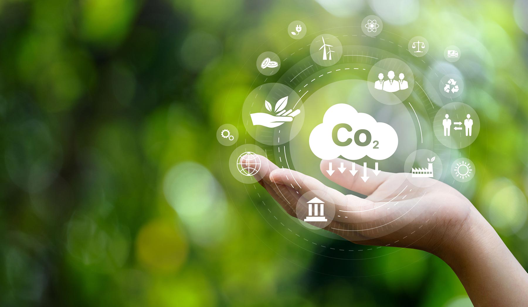 Carbon Dioxide Removal: The Startup View