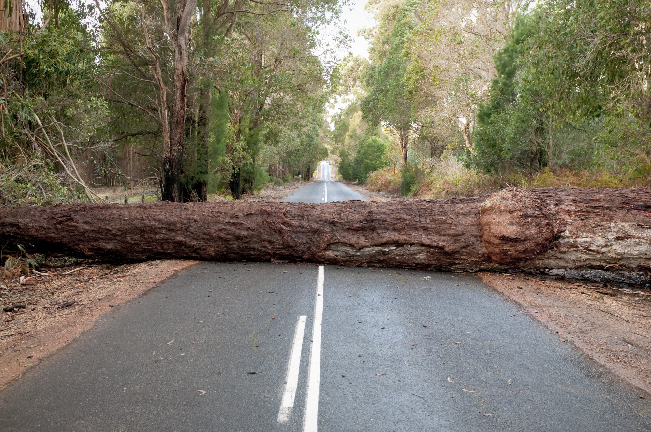 Unpacking Five Key Barriers to Transition Finance