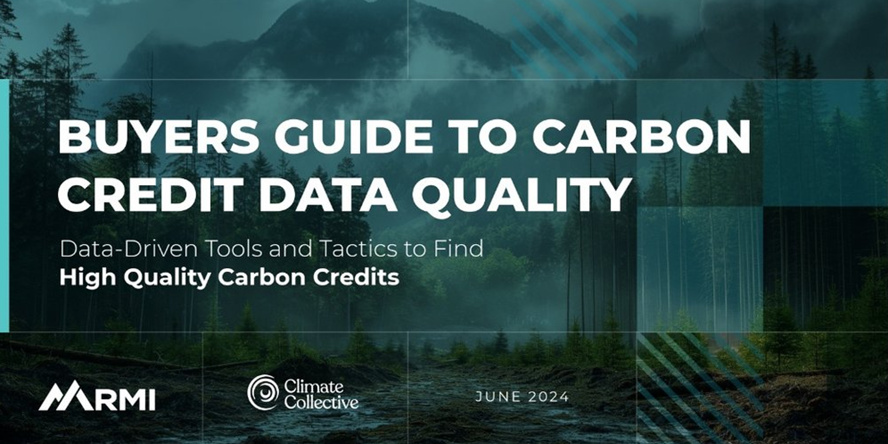 Buyers Guide to Carbon Credit Data Quality