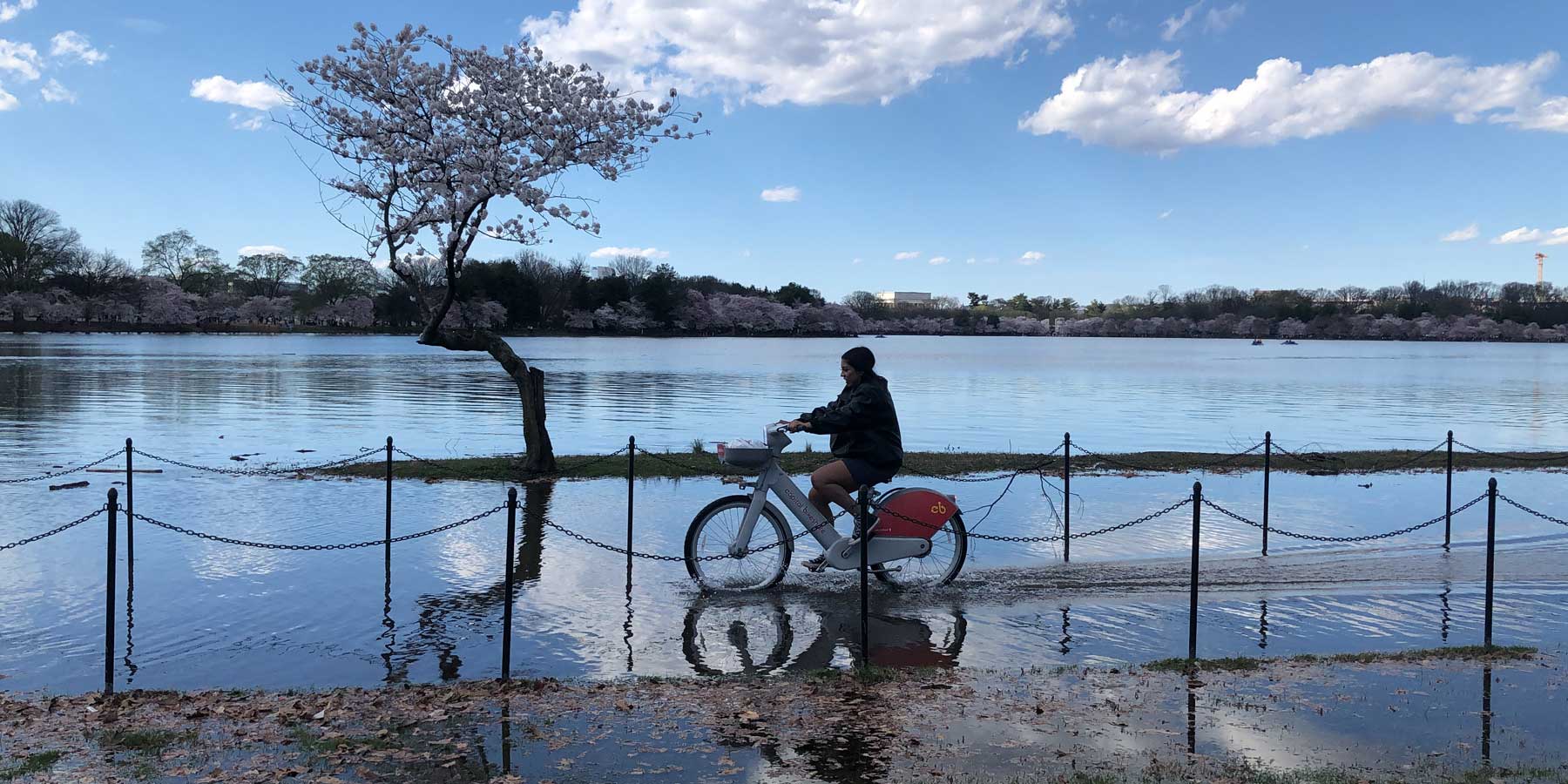 Postcards from a Climate-Changing World