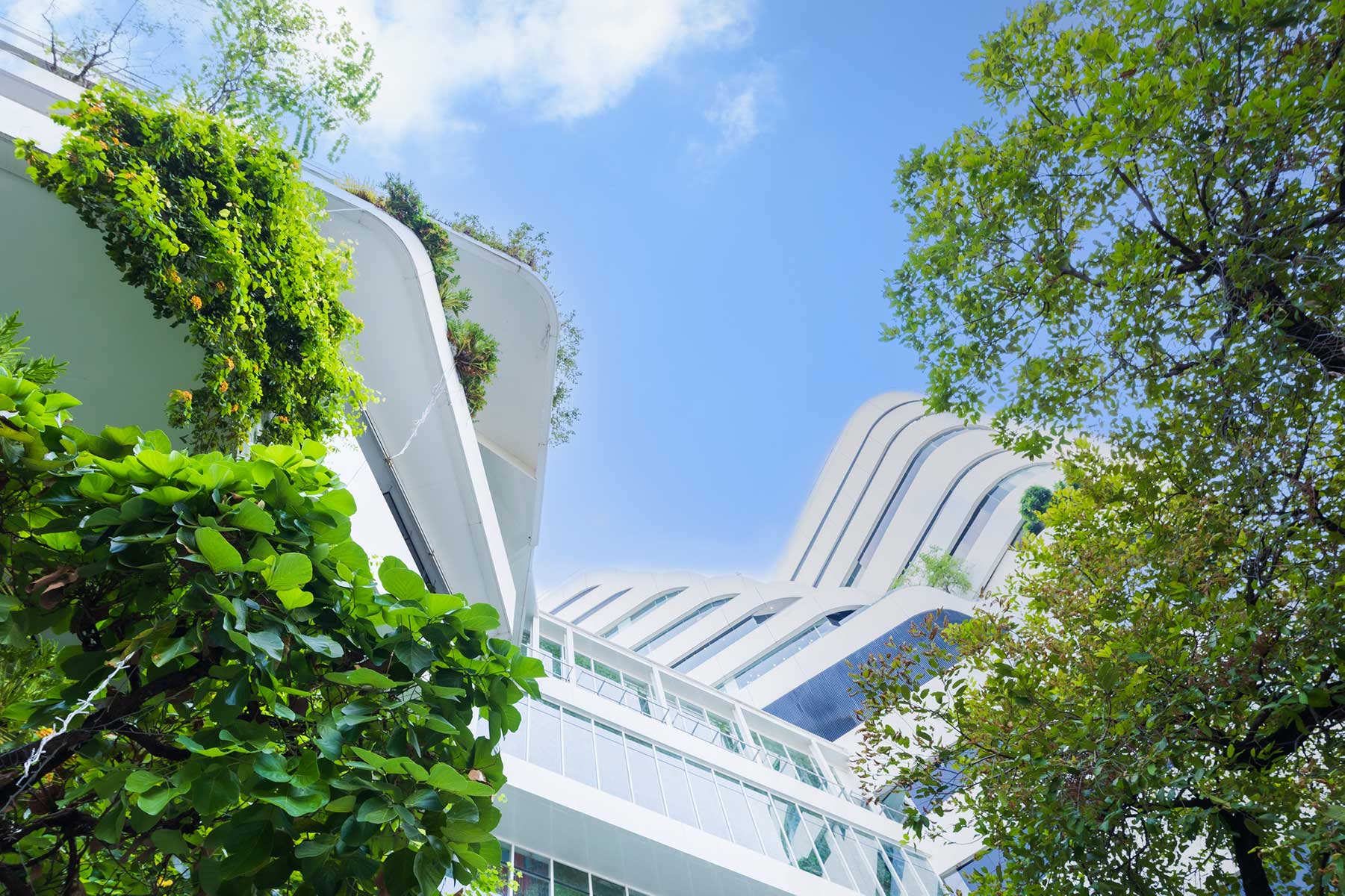 Unlocking New Opportunities for Carbon Neutrality in China’s Building Sector