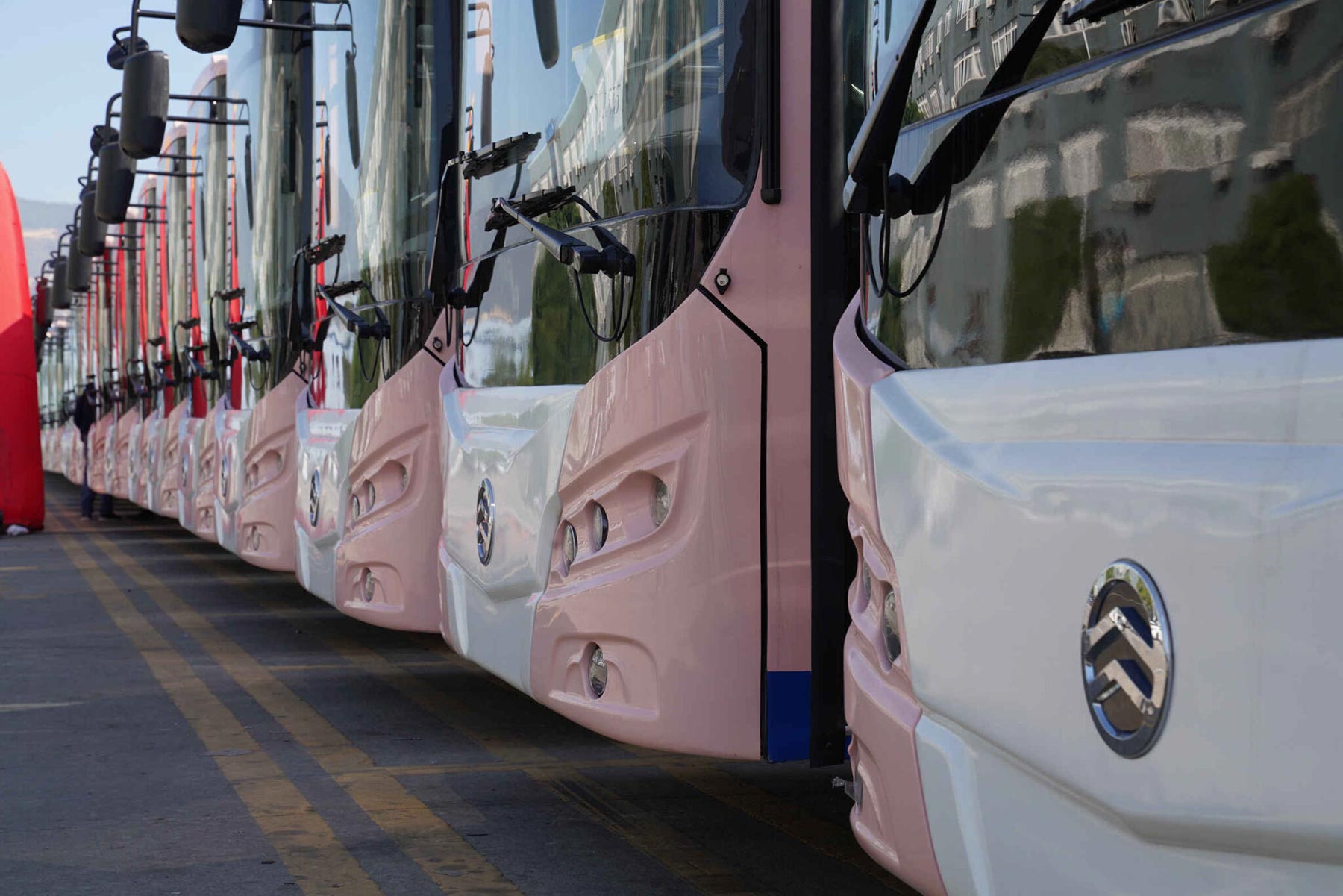 Energizing Public Transit for Islands