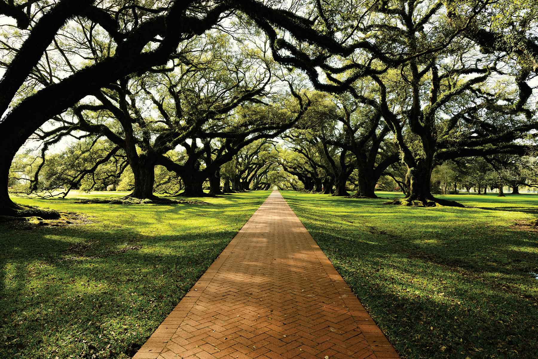 Toward a Cleantech-Led Economic Development Strategy for South Carolina