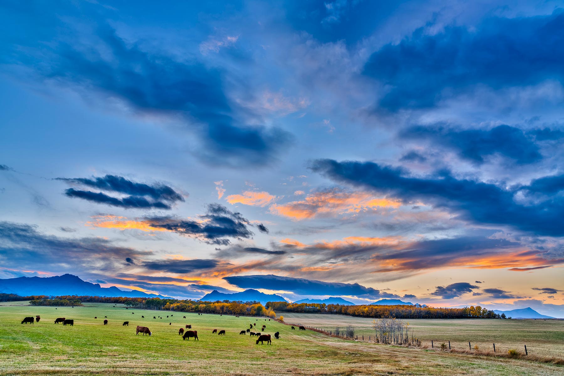 Climate Disclosure  and Target Setting in the Agriculture Sector