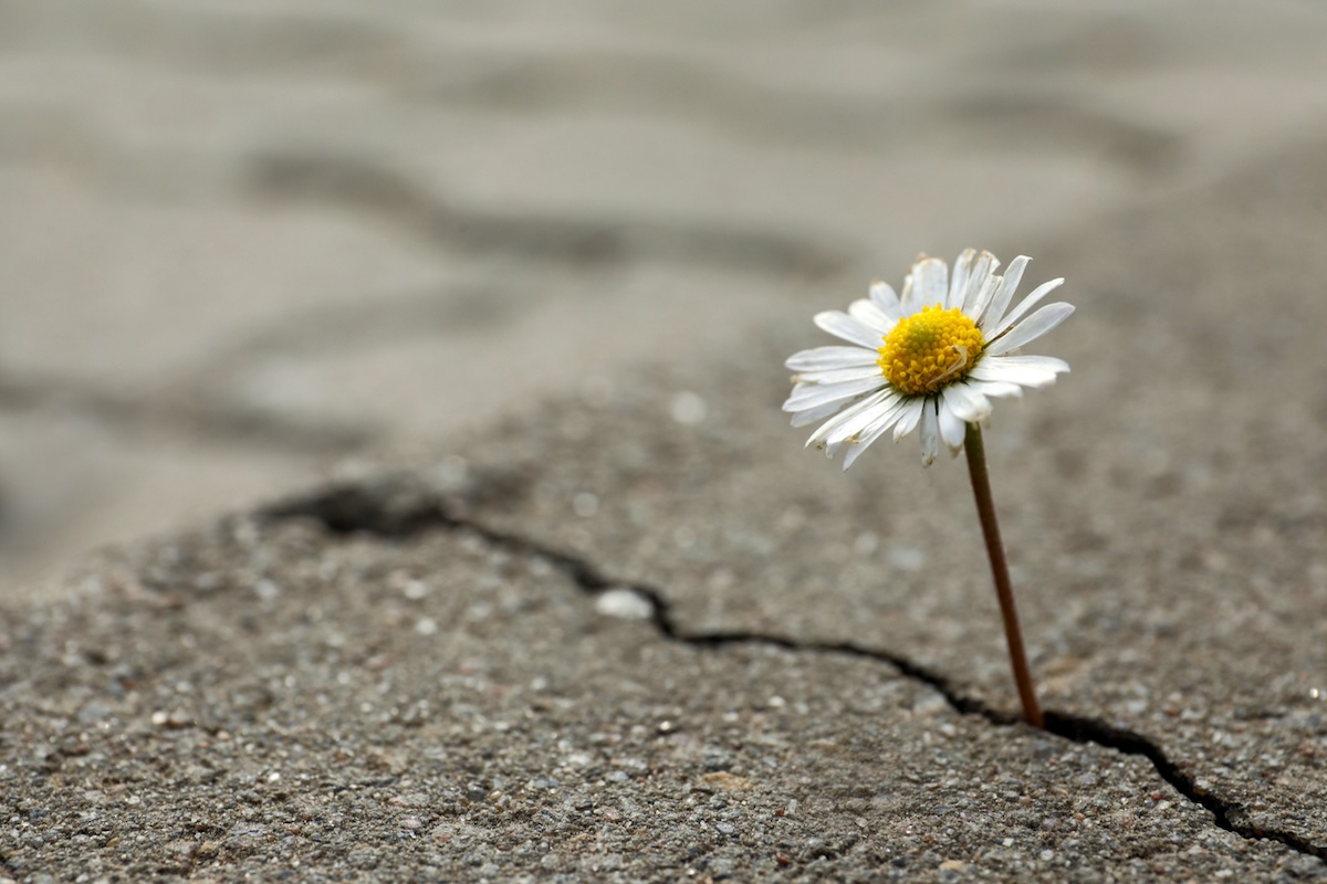 Revisiting Applied Hope