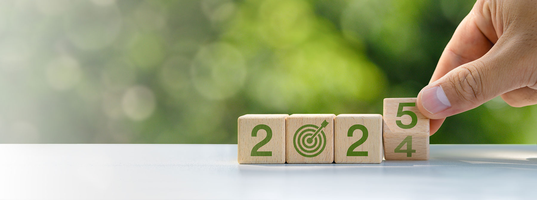 The Energy Transition in 2025: What to Watch For