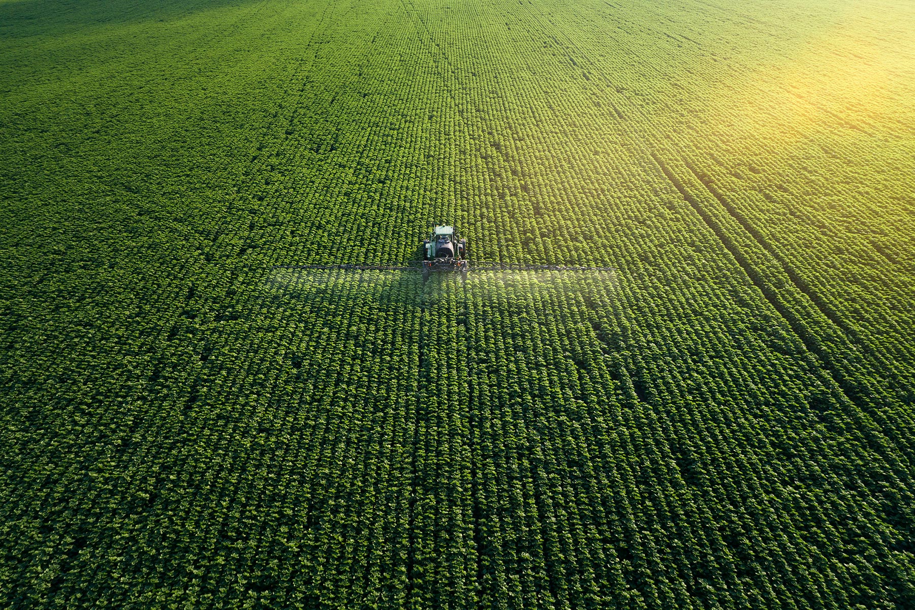 Green Fertilizer Markets and Innovation