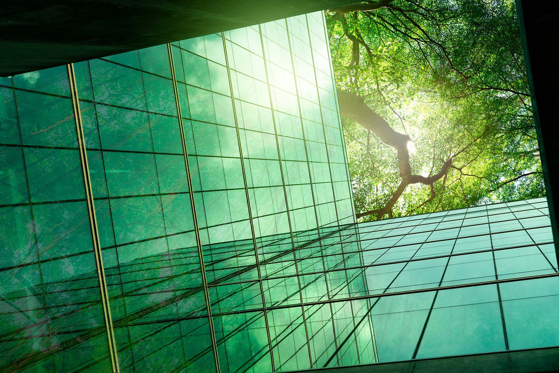 The Transition Finance Nexus