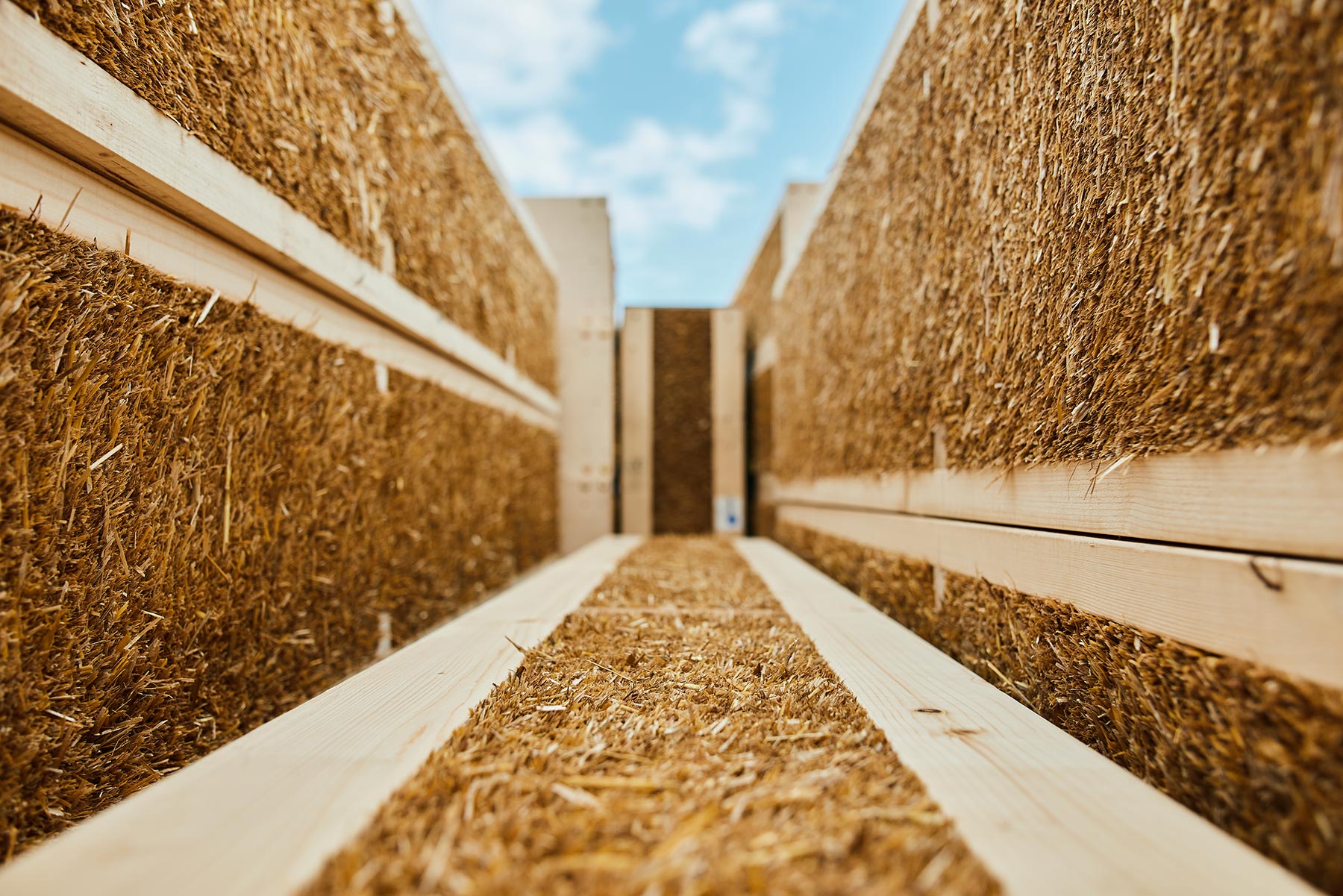 Harnessing Carbon Removal Opportunities in Biomass Residue Building Products