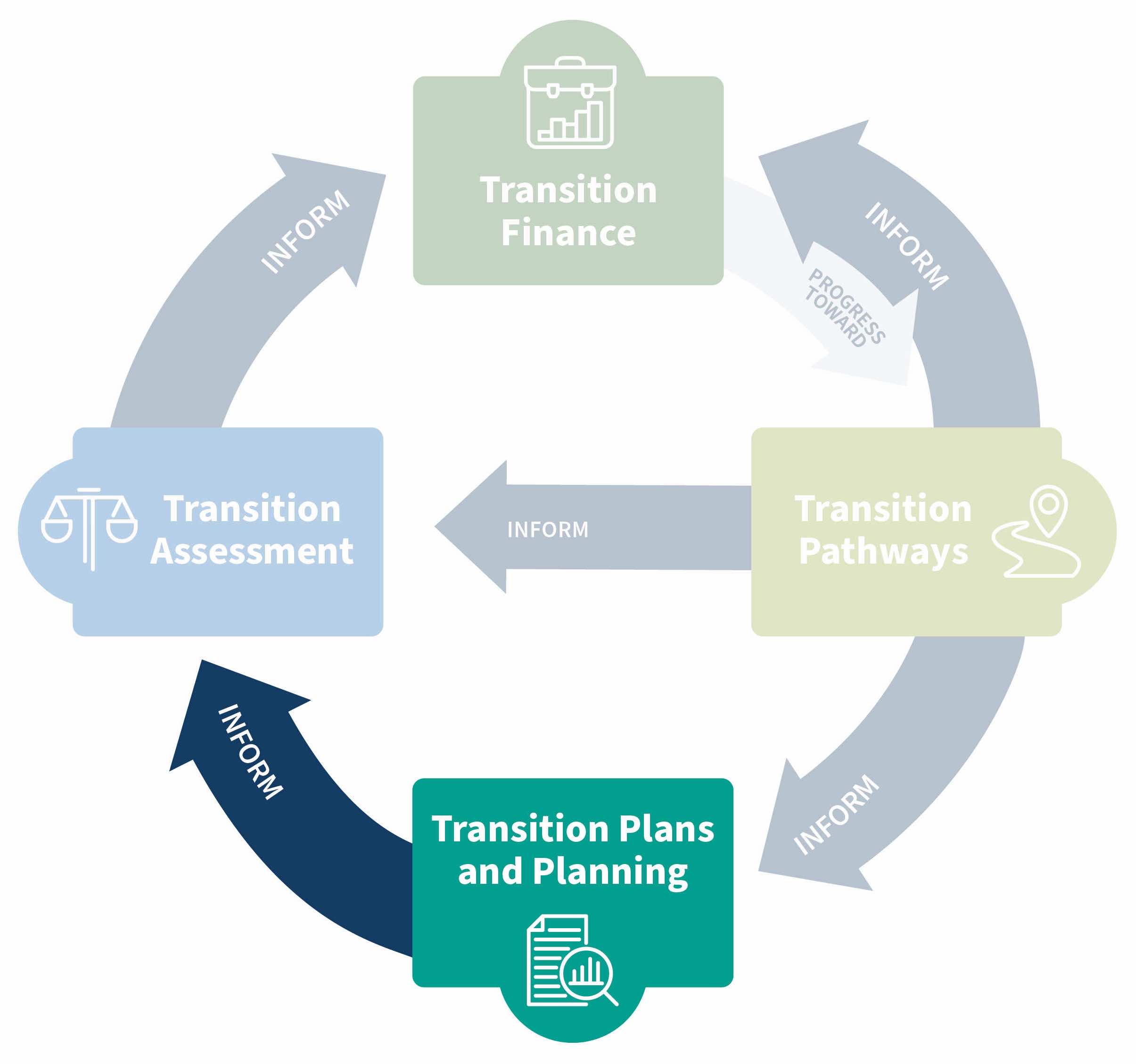 Transition Finance in Action