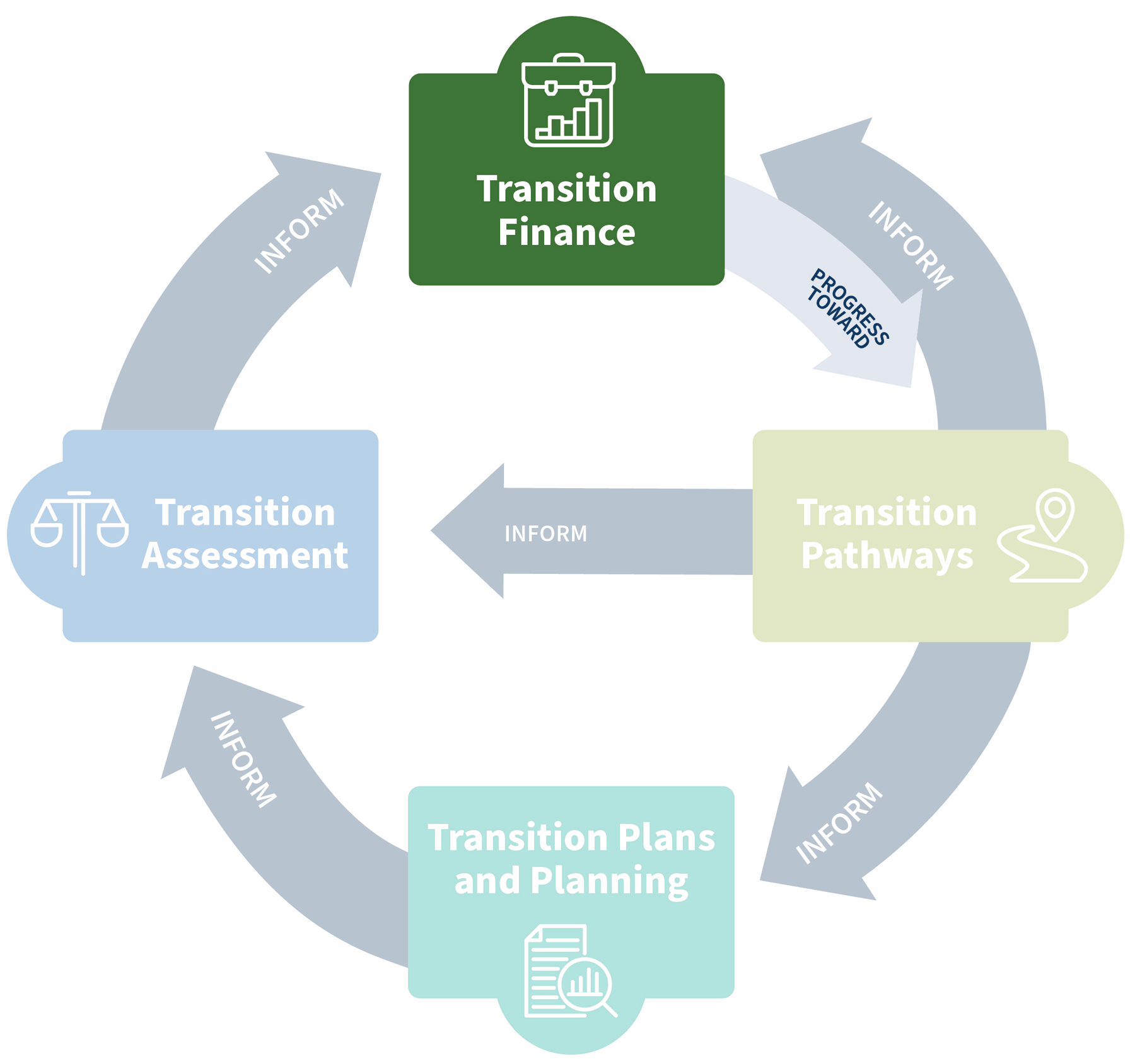Transition Finance in Action