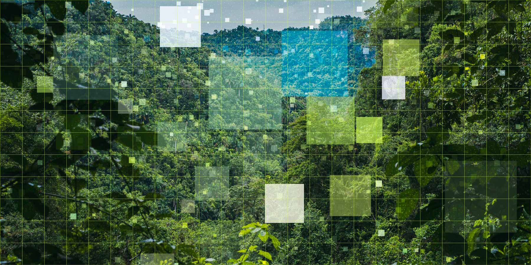 The Carbon Crediting Data Framework