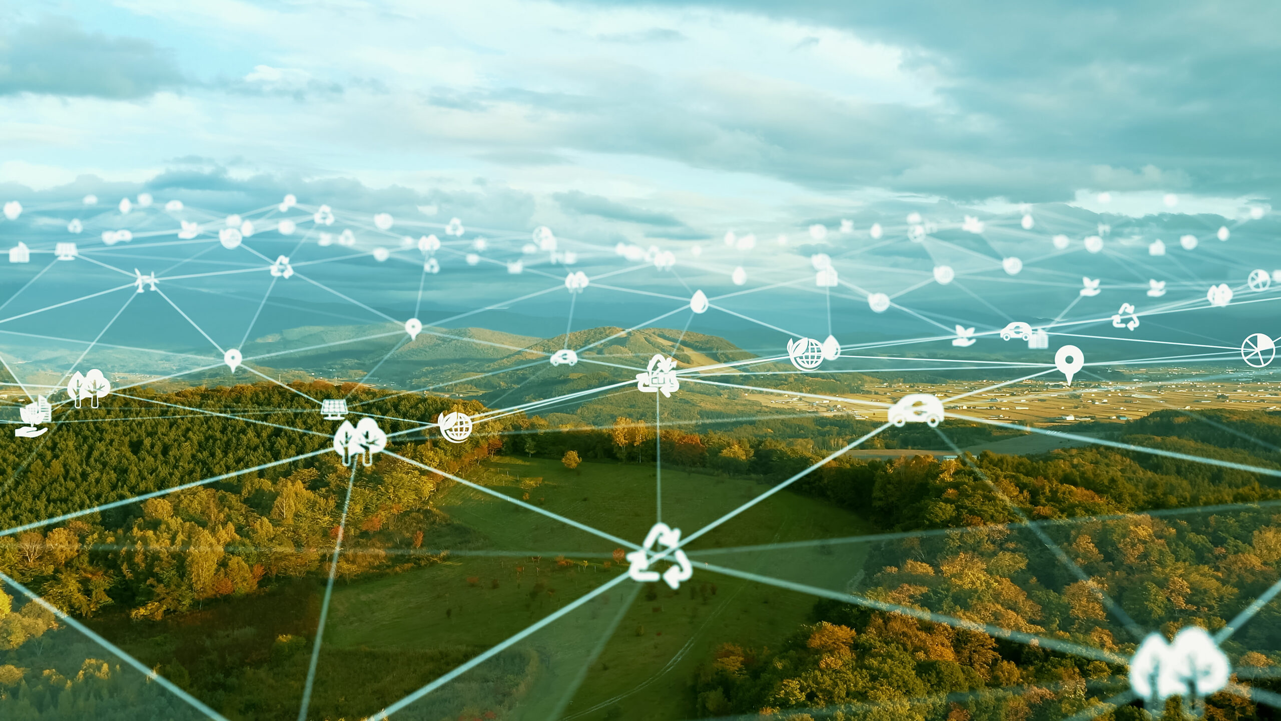 Webinar – Making Data Work for Carbon Markets: Real-World Applications of the Carbon Crediting Data Framework
