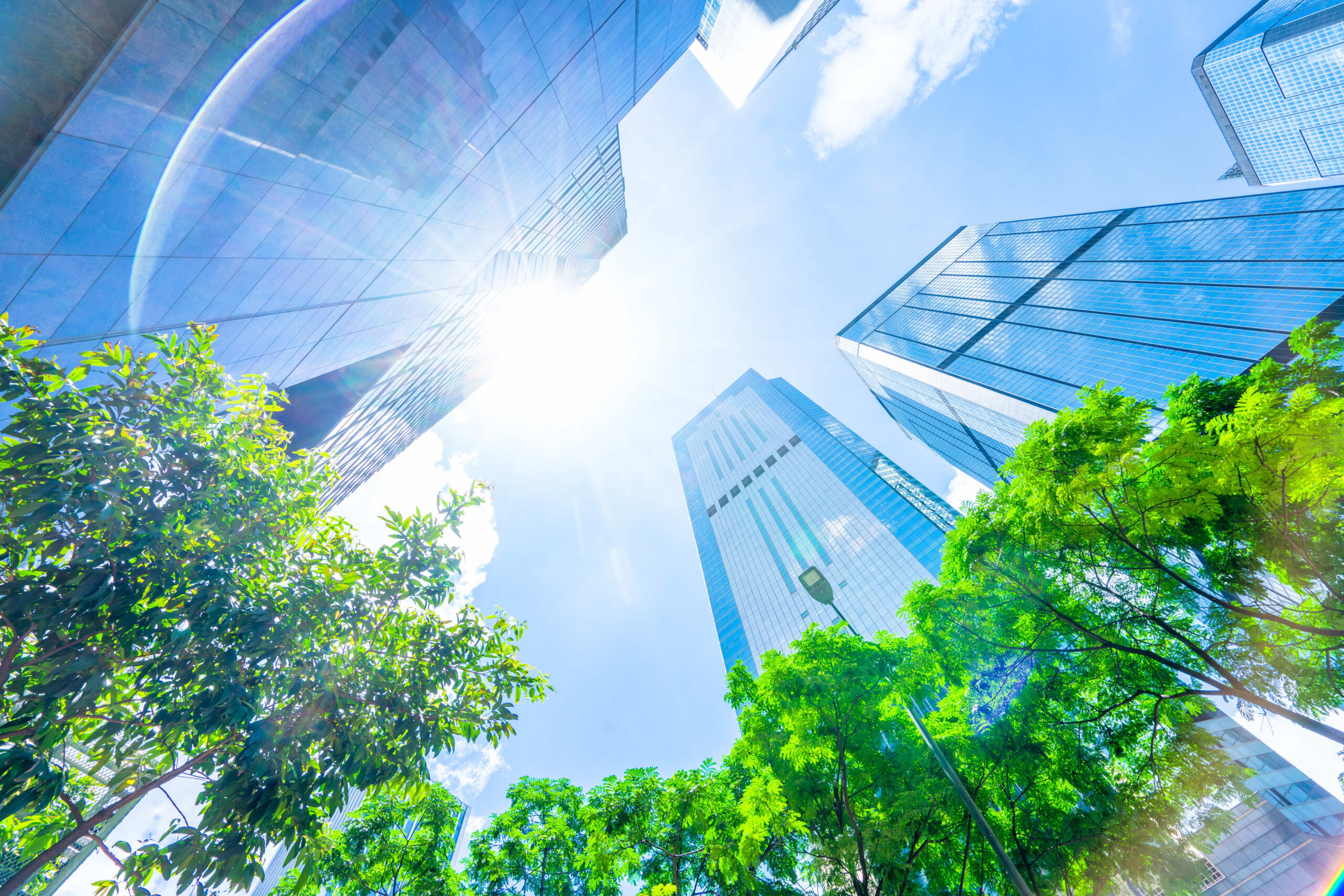 Leveraging Transition Pathways