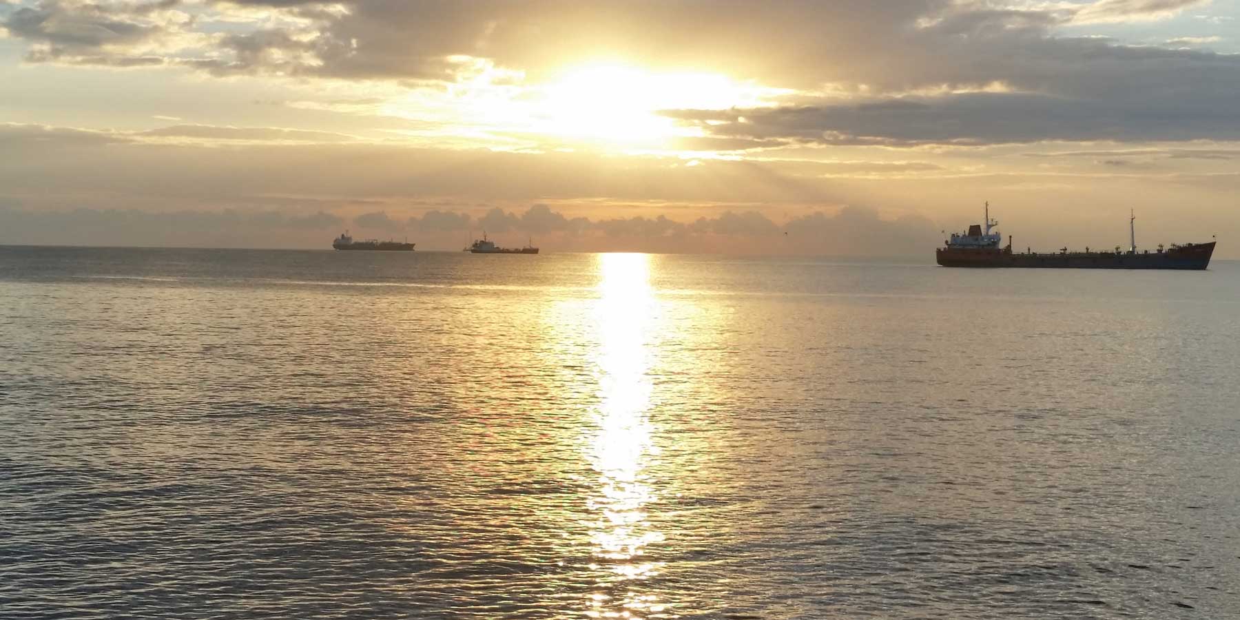 Sailing Towards Net Zero