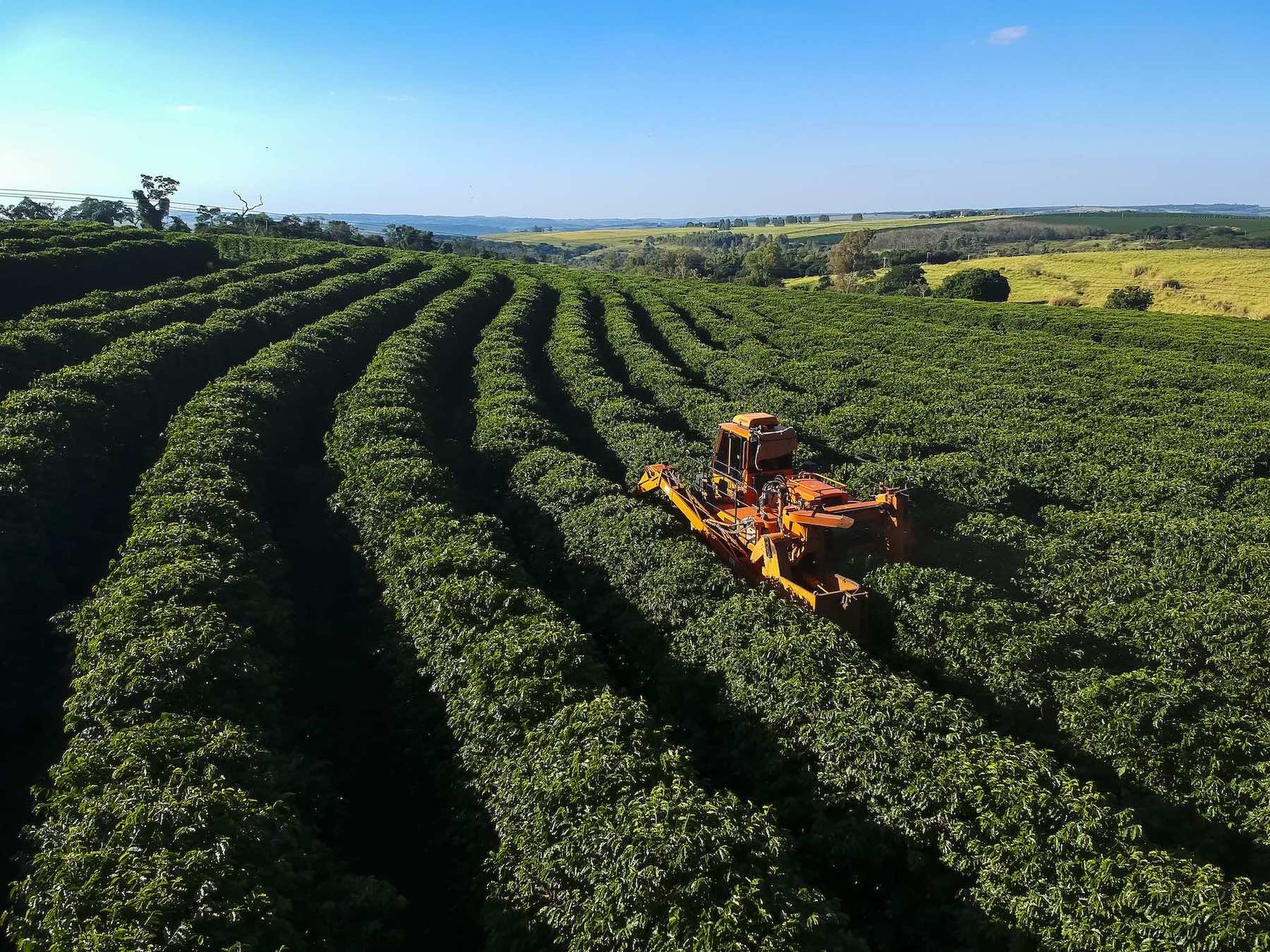 Decarbonizing the Ammonia Fertilizer Supply Chain in Brazil