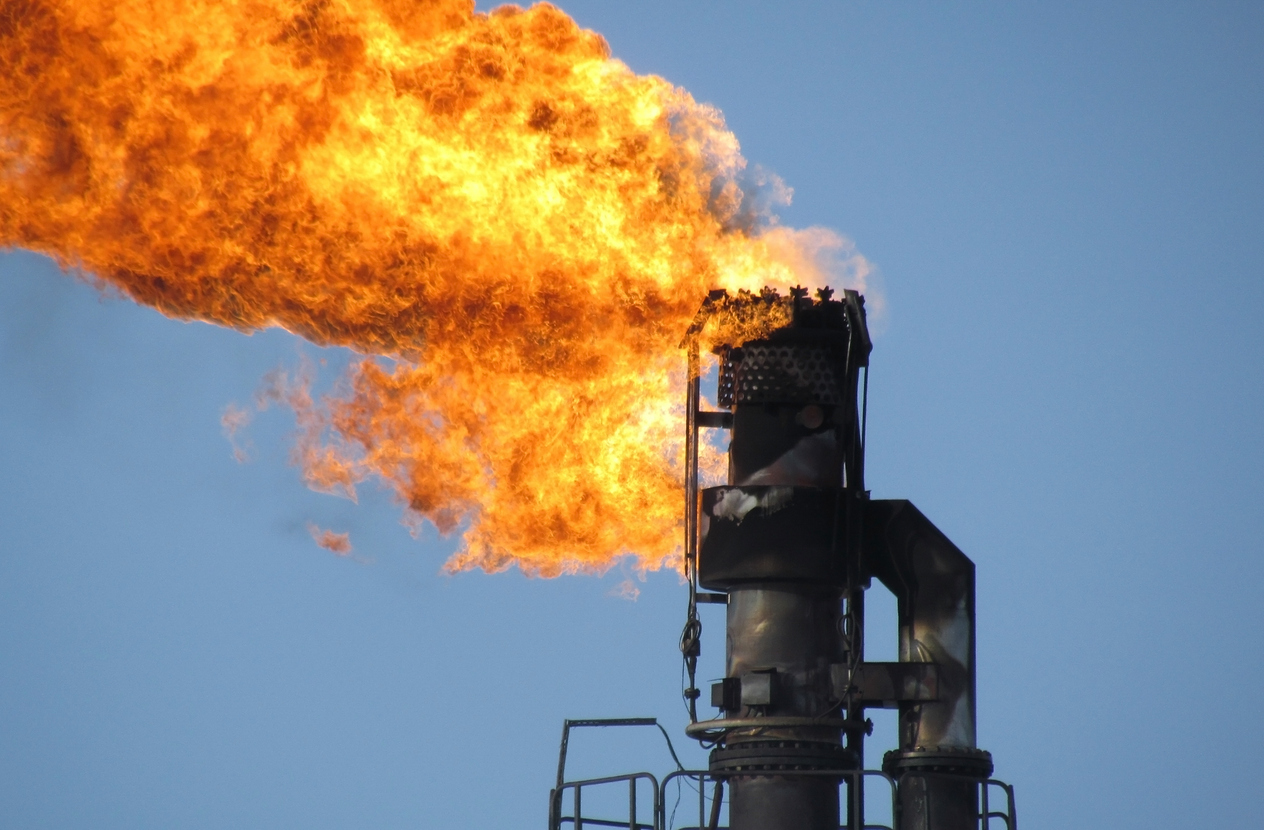 Reactions to Landman Season 2: Risky Business Continues in the Oil Patch