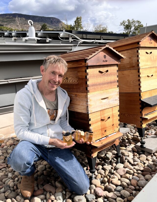 A Sweet, Buzzy Passion