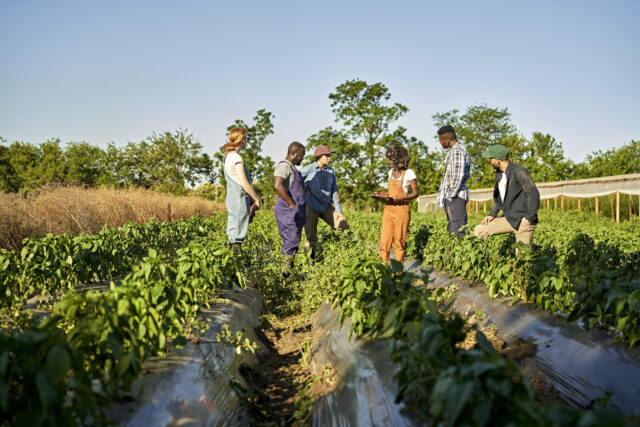 The Emerging Consensus on Social Integrity in Carbon Markets