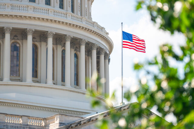 Webinar — The American New Energy Economy After the Midterms