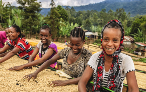 women-girls-coffee-beans-east-africa-ethiopia