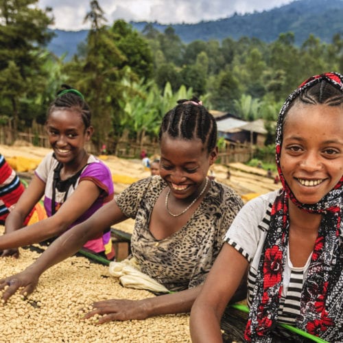 women-girls-coffee-beans-east-africa-ethiopia