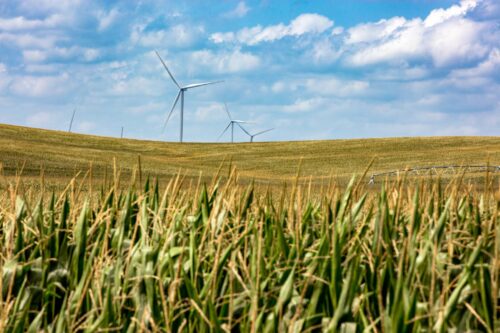 Nebraska cornfield with wind turbines