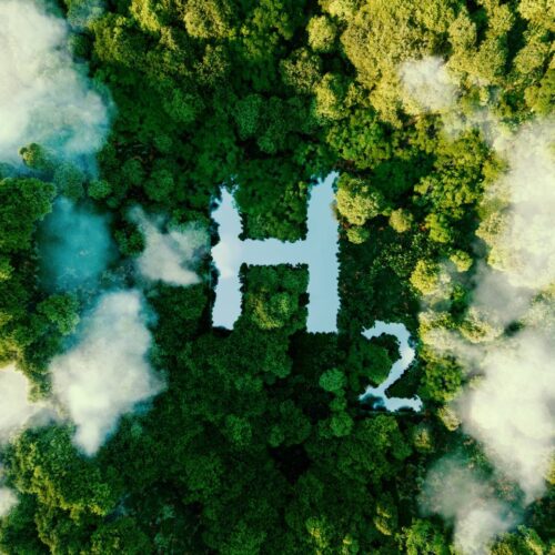 Hydrogen symbol overlaying a forest