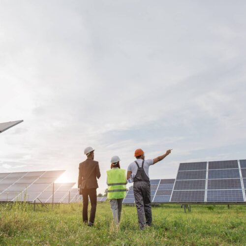 solar panel field with technicians
