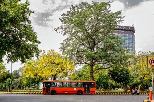 urban trees with bus driving in foreground