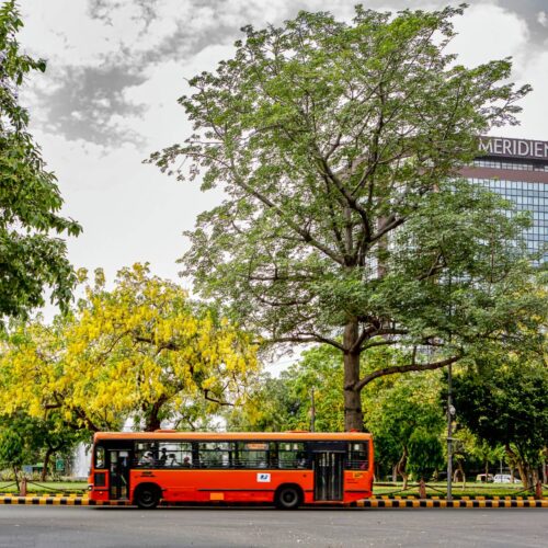 urban trees with bus driving in foreground