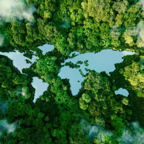 world map over a forest