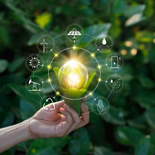 Hand holding light bulb against nature on green leaf with icons energy sources for renewable, sustainable development