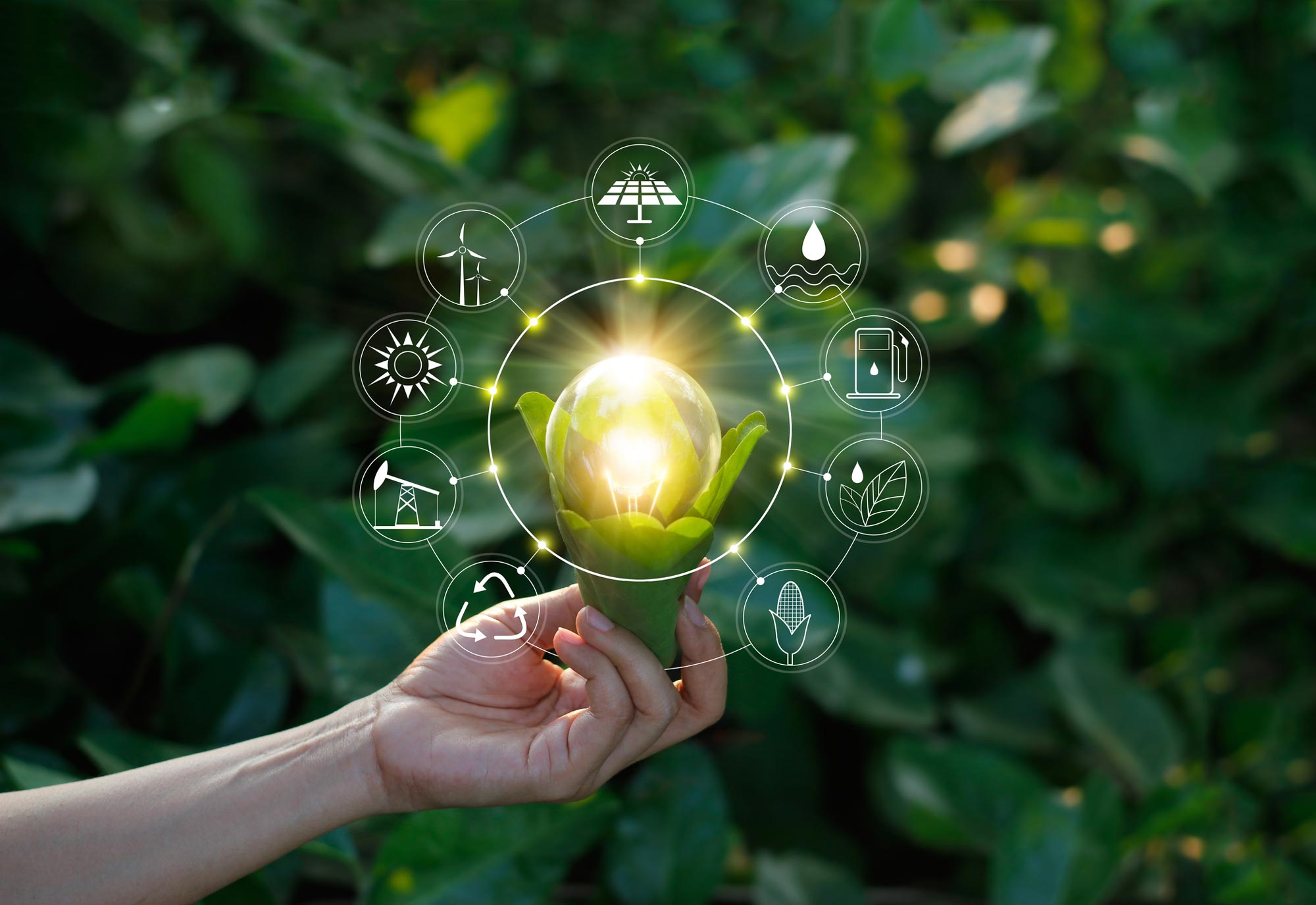 Hand holding light bulb against nature on green leaf with icons energy sources for renewable, sustainable development