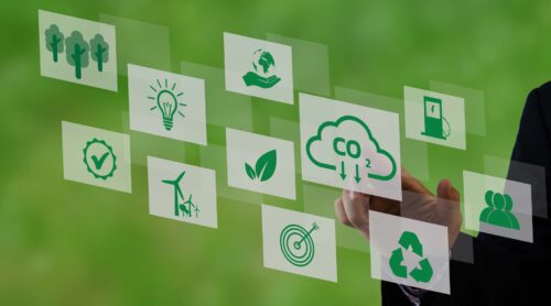 carbon credit businesses
