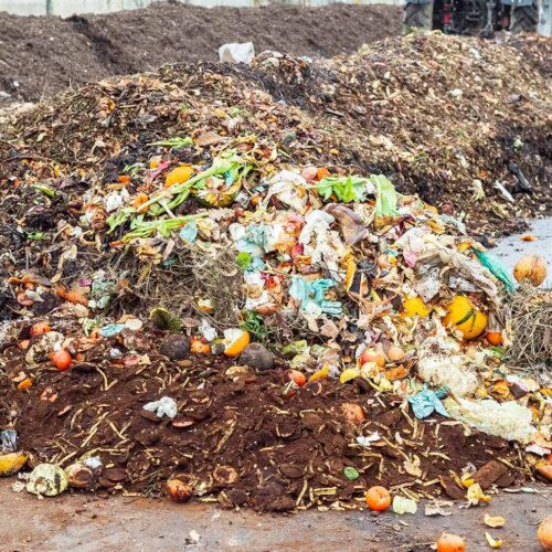 organic compost in landfill