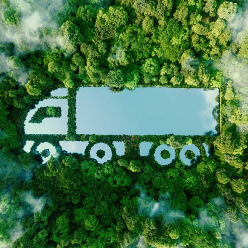 truck shape appearing in aerial view of forest