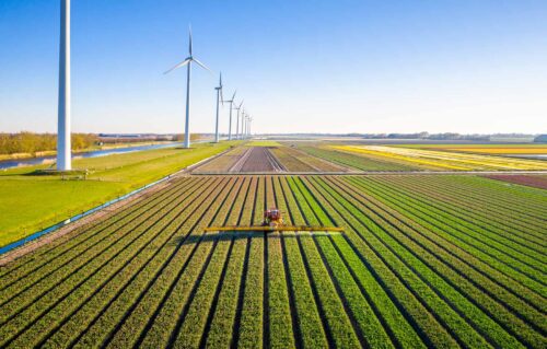 farmlands